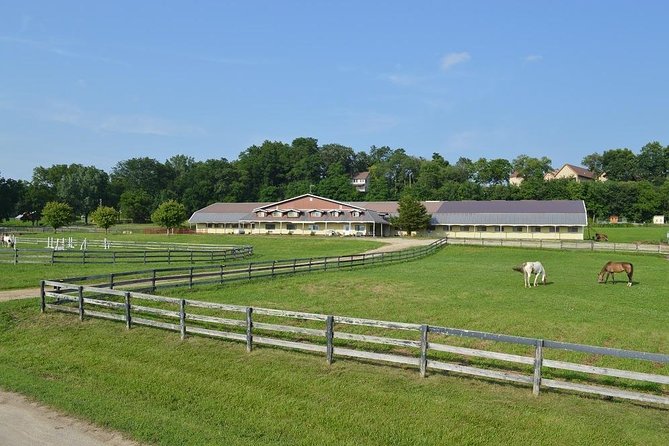 Horseback Rides, Interactions, and Petting Zoo - Why the private group price can be good value