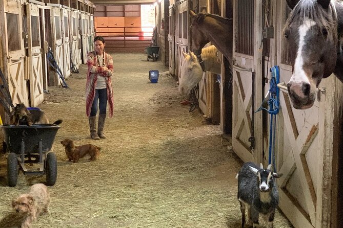 Horseback Rides, Interactions, and Petting Zoo - Practical booking and cancellation advice