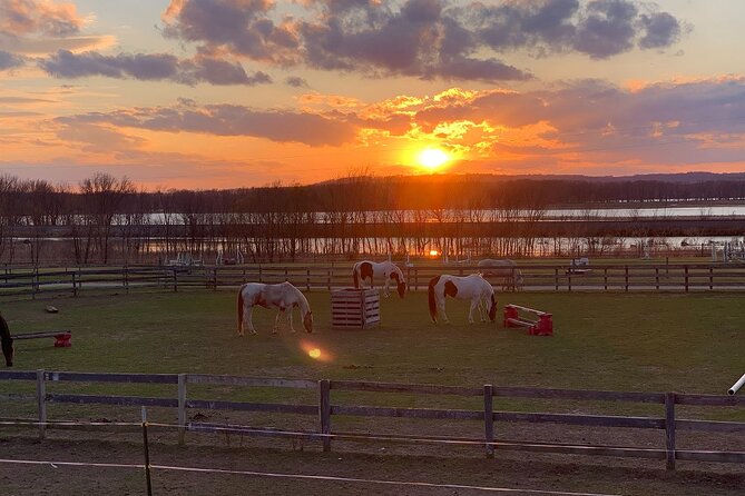 Horseback Rides, Interactions, and Petting Zoo - Taking a slow turn on horseback