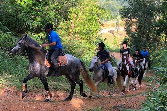 Horseback Riding 1 hour trail - At a Glance: What Makes This Ride Worth Considering