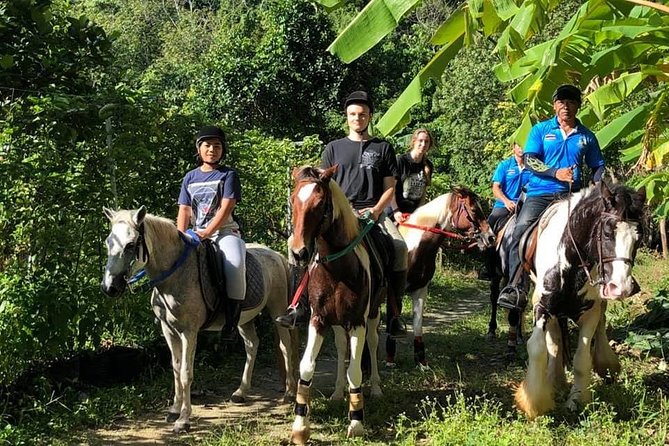 Horseback Riding 1 hour trail - Along the Rubber Trees and Fruit Orchards