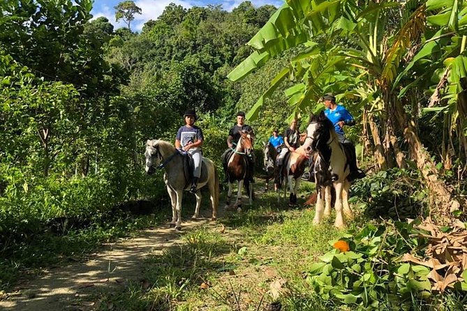 Horseback Riding 1 hour trail - What Riding the Horses Feels Like