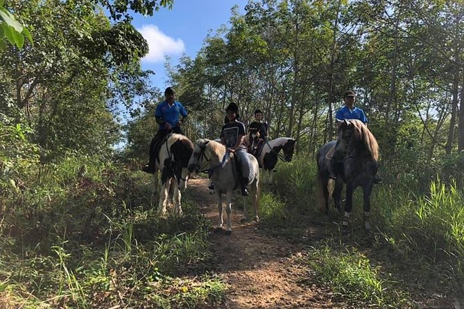 Horseback Riding 1 hour trail - A Good Choice for Children and First-Time Riders