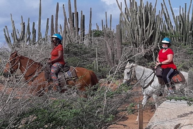 Horseback Riding 2 Hr SUNSET , Rock formation & North Coast Ride - What the ranch bar adds