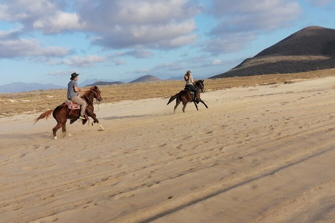 Horseback riding - Riding from Todos Santos toward the coast