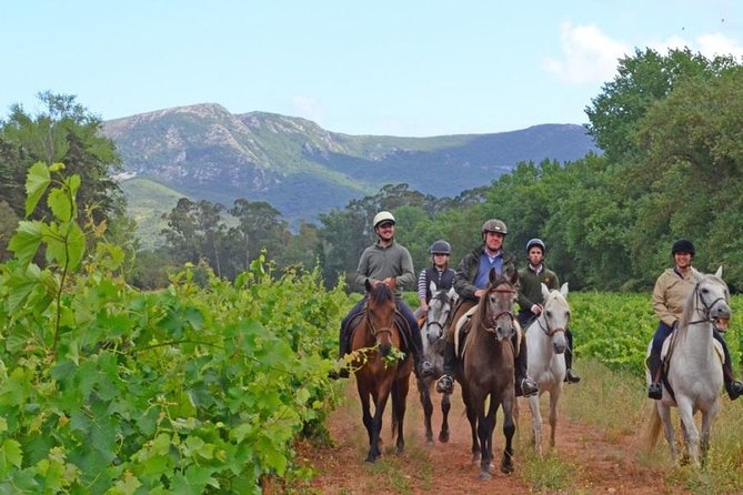 Horseback Riding, 4 Options-Mountain, Lesson Ring, Beach (2Hours) - Key Points at a Glance
