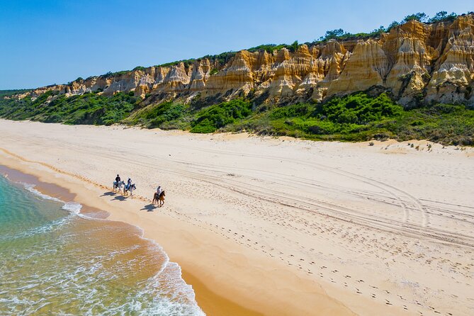 Horseback Riding, 4 Options-Mountain, Lesson Ring, Beach (2Hours) - From Lisbon to the Pine Forest Near Costa da Caparica