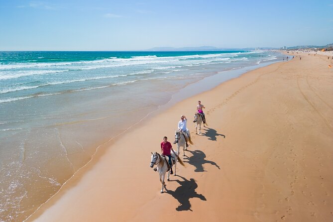 Horseback Riding, 4 Options-Mountain, Lesson Ring, Beach (2Hours) - Riding the Horses: Calm Pace or Faster Beach Work