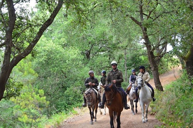 Horseback Riding, 4 Options-Mountain, Lesson Ring, Beach (2Hours) - Reaching the Beach at Costa da Caparica