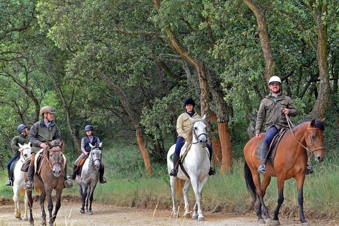 Horseback Riding, 4 Options-Mountain, Lesson Ring, Beach (2Hours) - What the Two Hours Really Include