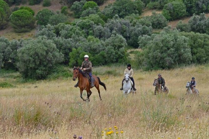 Horseback Riding, 4 Options-Mountain, Lesson Ring, Beach (2Hours) - Guides, Group Size, and Personal Attention