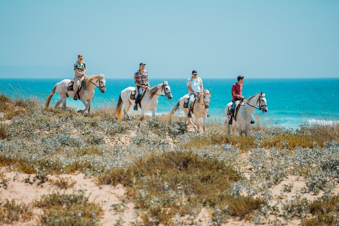 Horseback Riding, 4 Options-Mountain, Lesson Ring, Beach (2Hours) - Price and Value at $154.76