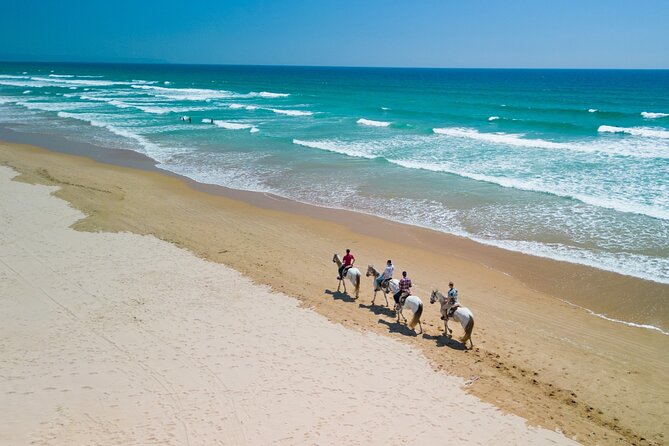 Horseback Riding, 4 Options-Mountain, Lesson Ring, Beach (2Hours) - What to Wear and Bring