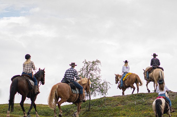 Horseback riding - Weather, timing, and cancellation