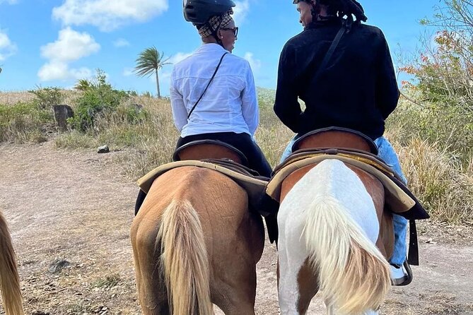 Horseback Riding, A Scenic Escape - Riding through St. Kitts’ tropical scenery