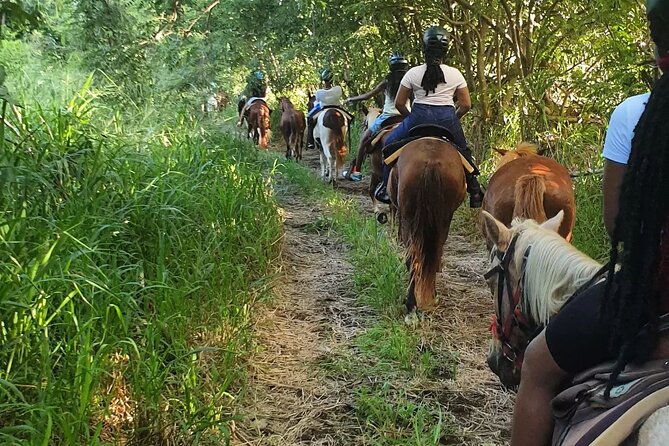Horseback Riding, A Scenic Escape - The Basseterre viewpoint and Sofa Stone stop