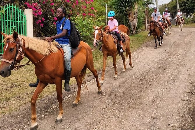 Horseback Riding, A Scenic Escape - Pickup, timing, and the one serious caution