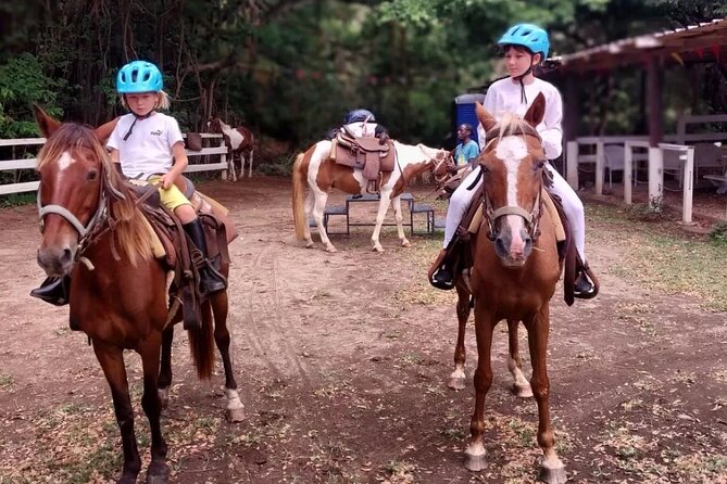 Horseback Riding, A Scenic Escape - Is $110 a fair price?