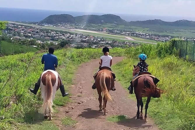 Horseback Riding, A Scenic Escape - Old sugar mills and St. Kitts’ colonial past