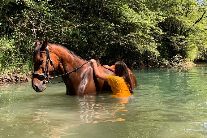 Horseback Riding Across River Ljuta with transport - Is $230.36 a fair price?