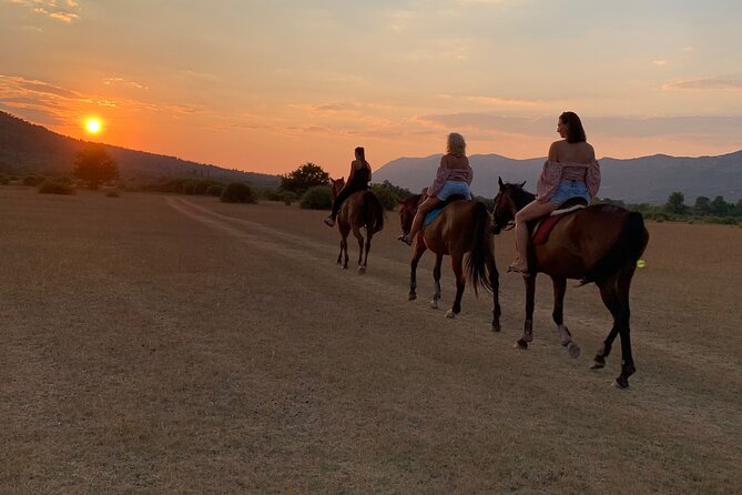 Horseback Riding Across River Ljuta with transport - A 2-hour-30-minute ride through Konavle