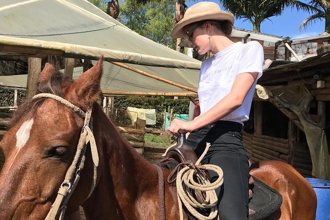 Horseback Riding Adventure from Medellin - The biggest question: trail or road?