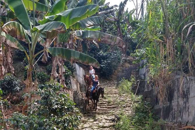 Horseback Riding Adventure from Medellin - The guide can make or break the ride
