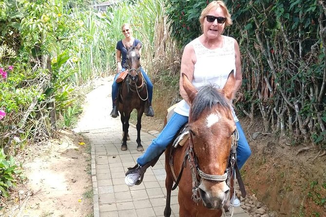Horseback Riding Adventure from Medellin - Is $137.75 a fair price?