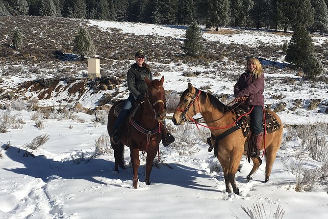 Horseback Riding Adventure from Reno - What the Guide Adds to the Ride