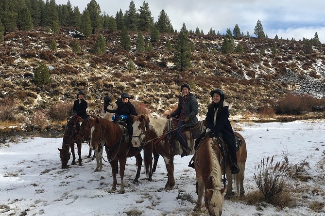 Horseback Riding Adventure from Reno - Horses, Pace, and Physical Demands