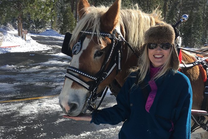 Horseback Riding Adventure from Reno - How the Price Measures Up at $240