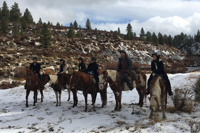 Horseback Riding Adventure from Reno - Who Will Enjoy This Ride Most