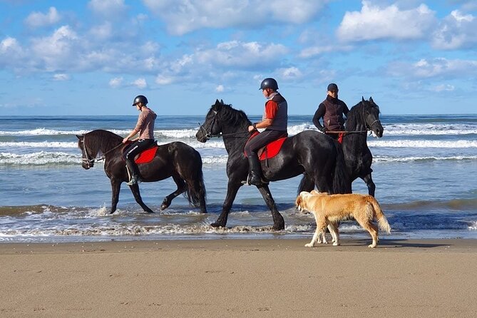 Horseback Riding Adventure in Durrës for Experienced Riders - The 4:00 pm start and meeting point