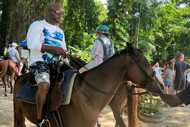 Horseback Riding Adventure in Jamaica - Is $47.50 Good Value?