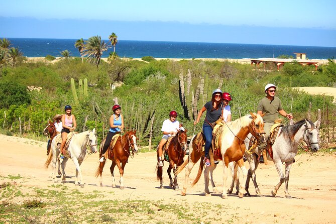 Horseback Riding Adventure in Playa Migriño with Tequila Tasting - Saddle Up for Rocky Baja Trails