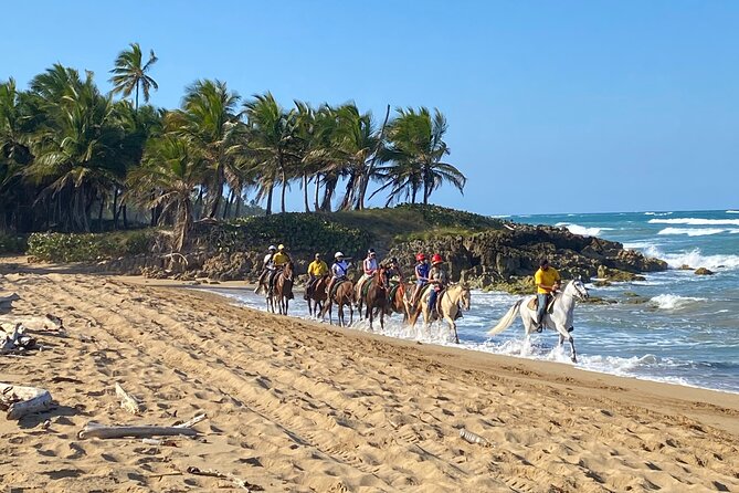 Horseback Riding Adventure Punta Cana - Key points before you saddle up