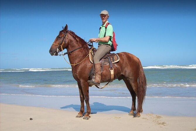 Horseback Riding Adventure Punta Cana - From your Punta Cana hotel to Rancho Victoria Caribeño