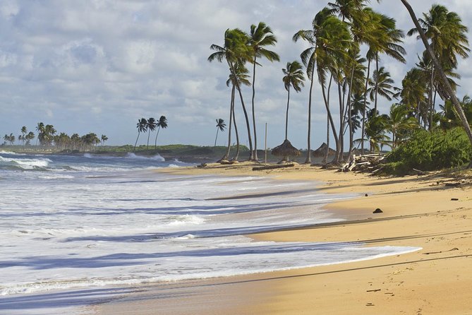 Horseback Riding Adventure Punta Cana - The photographer, posed stops, and the rum-bottle confusion