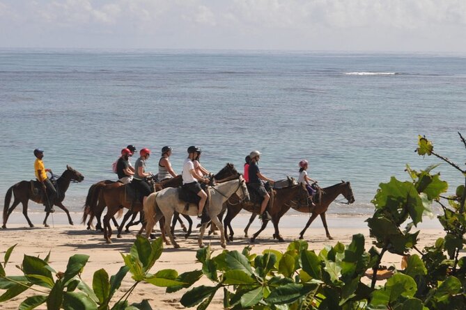 Horseback Riding Adventure Punta Cana - Who will enjoy this ride most