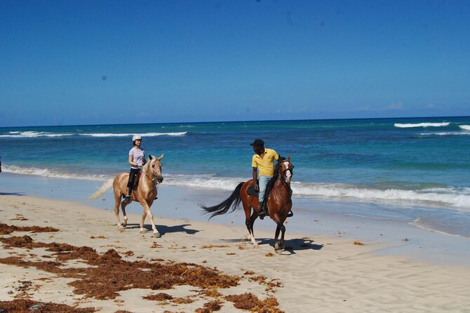 Horseback Riding Adventure Punta Cana - Practical advice for a smoother two hours