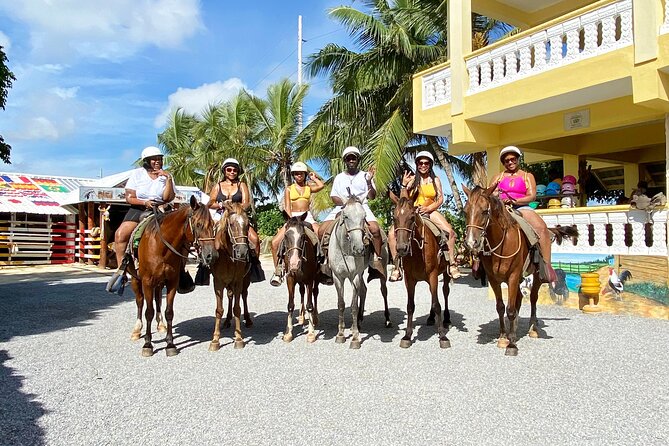 Horseback Riding Adventure Punta Cana - Meeting the horses and getting comfortable