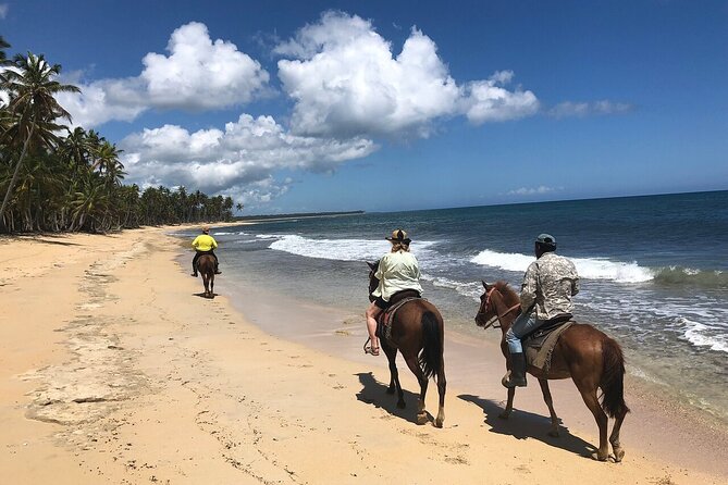 Horseback Riding Adventure to Macao Alto Beaches in Punta Cana - Why this ride offers more than a beach photo