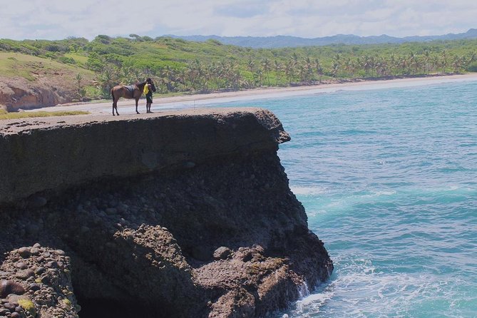 Horseback Riding Adventure Tour in St. Lucia - Meeting your horse and getting comfortable