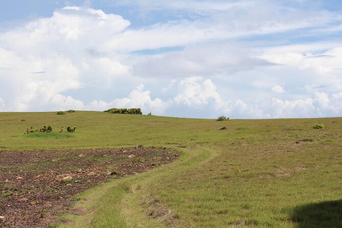 Horseback Riding Adventure Tour in St. Lucia - Following the Atlantic shore