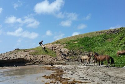 Horseback Riding Adventure Tour in St. Lucia