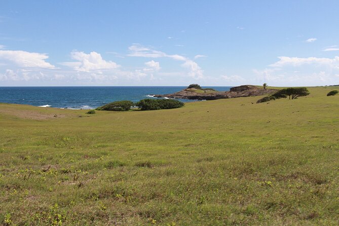 Horseback Riding Adventure Tour in St. Lucia - Two beaches and a swim with your horse