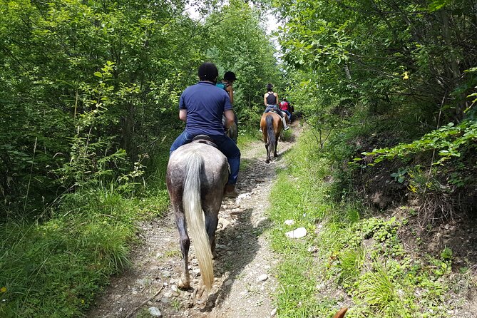 Horseback riding adventure tour through Brasov landscape - From Brasov to a traditional Romanian ranch