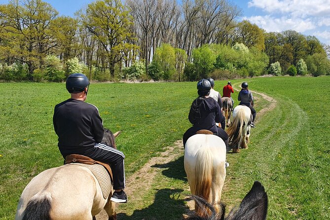 Horseback riding adventure tour through Brasov landscape - Guides who shape the experience