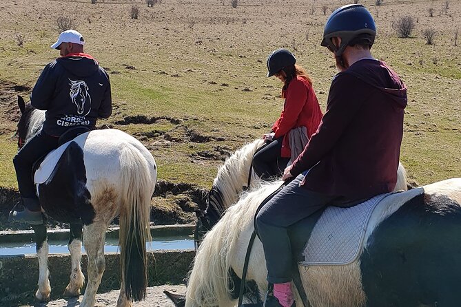 Horseback riding adventure tour through Brasov landscape - A home-cooked Romanian lunch on the farm