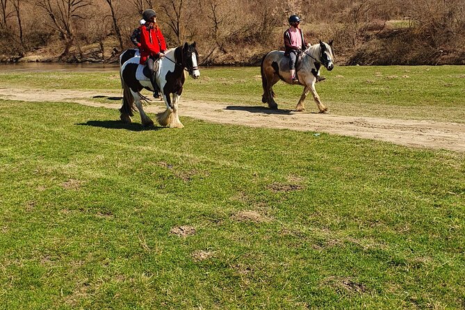 Horseback riding adventure tour through Brasov landscape - What the five-hour schedule really means